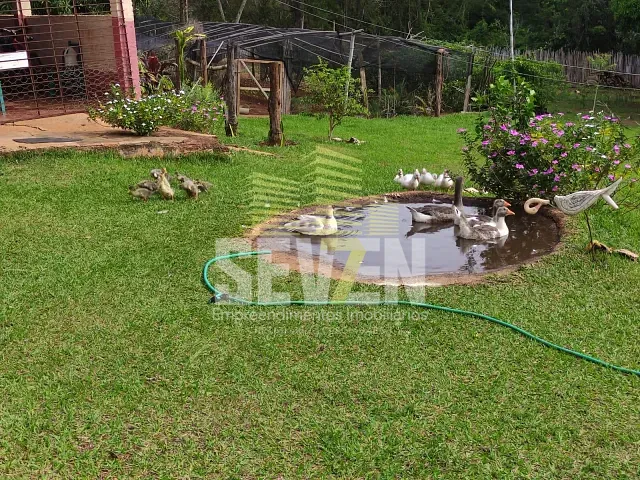Chácara com 200m² 2 quartos e 1 banheiro, à venda, no bairro Área Rural de Ipaussu em Ipaussu