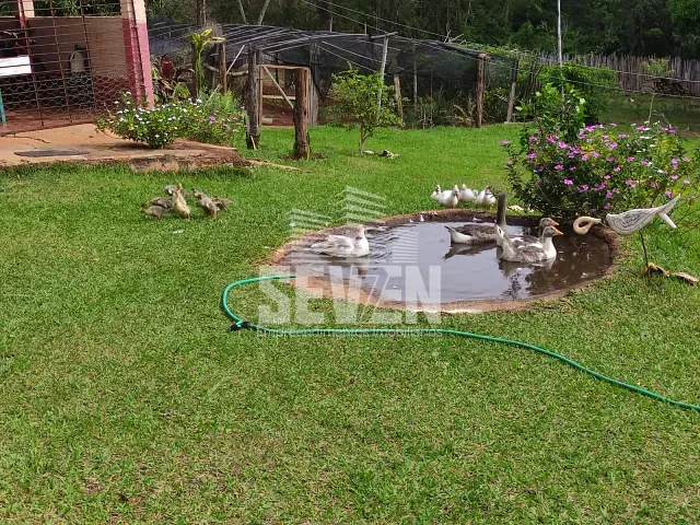 Chácara com 200m² 2 quartos e 1 banheiro, à venda, no bairro Área Rural de Ipaussu em Ipaussu