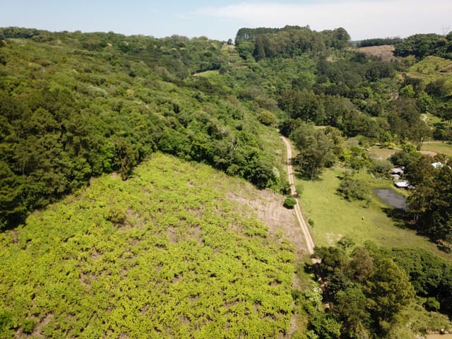 Chácara com 2000m² 1 quarto e 1 banheiro, à venda, no bairro Kayser em Caxias do Sul