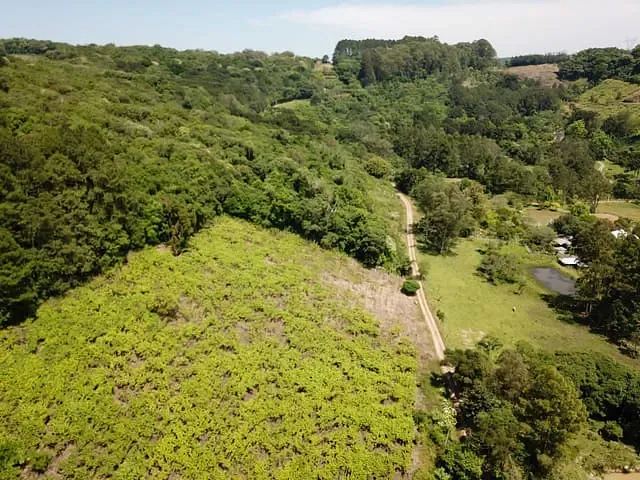 Chácara com 2000m², à venda, no bairro Kayser em Caxias do Sul