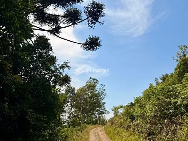 Chácara com 2000m² 4 quartos e 2 banheiros, à venda, no bairro Kayser em Caxias do Sul