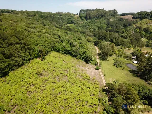 Chácara com 2000m² 4 quartos e 2 banheiros, à venda, no bairro Kayser em Caxias do Sul