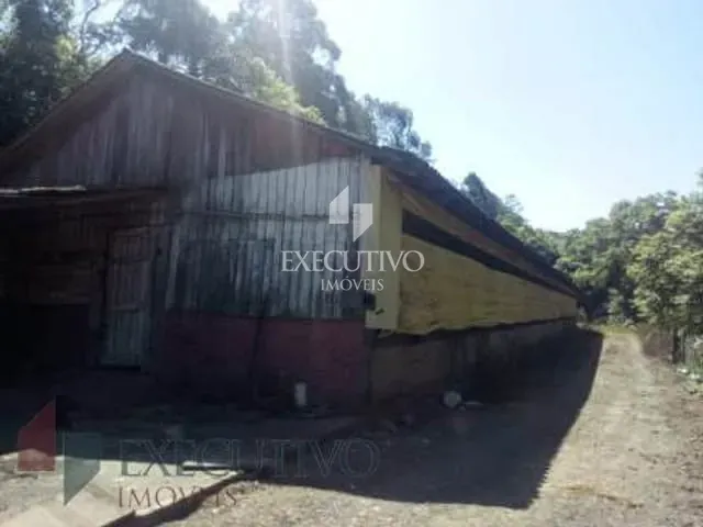 Chácara 2 quartos e 1 banheiro, à venda, no bairro Zona Rural em Santa Clara Do Sul
