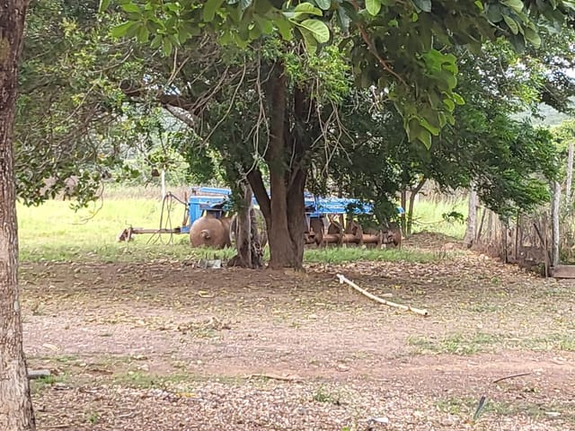 Foto do Chácara - Chácara à venda 2097M², Zona Rural, Jangada - MT | Josélia Cáceres Martins