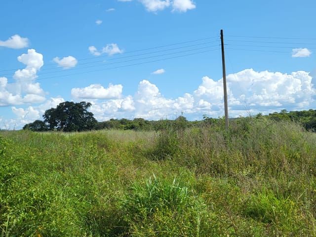 Foto do Chácara - Chácara à venda 2097M², Zona Rural, Jangada - MT | Josélia Cáceres Martins