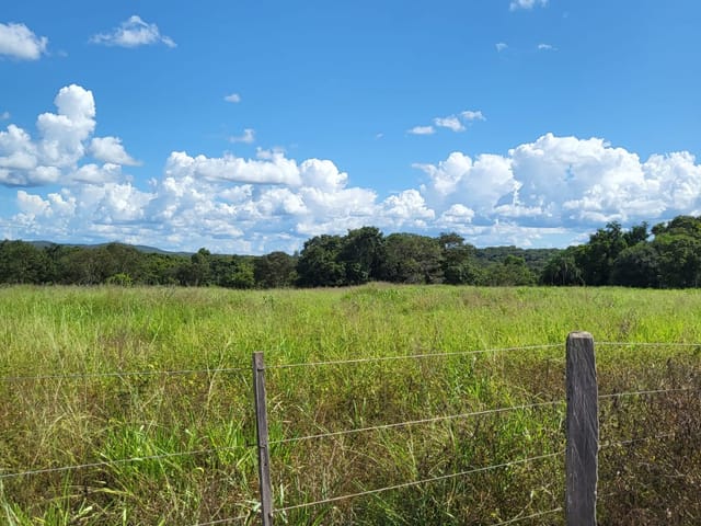 Foto do Chácara - Chácara à venda 2097M², Zona Rural, Jangada - MT | Josélia Cáceres Martins