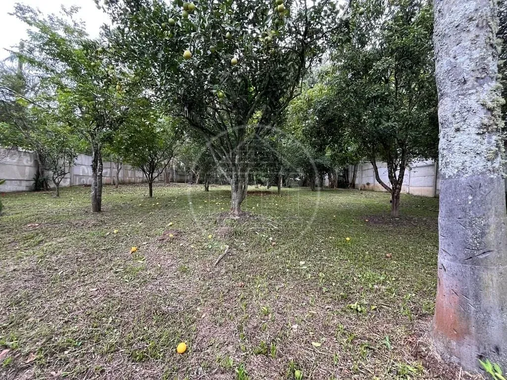 Sítio, 2 quartos, 1195 m² - Foto 12