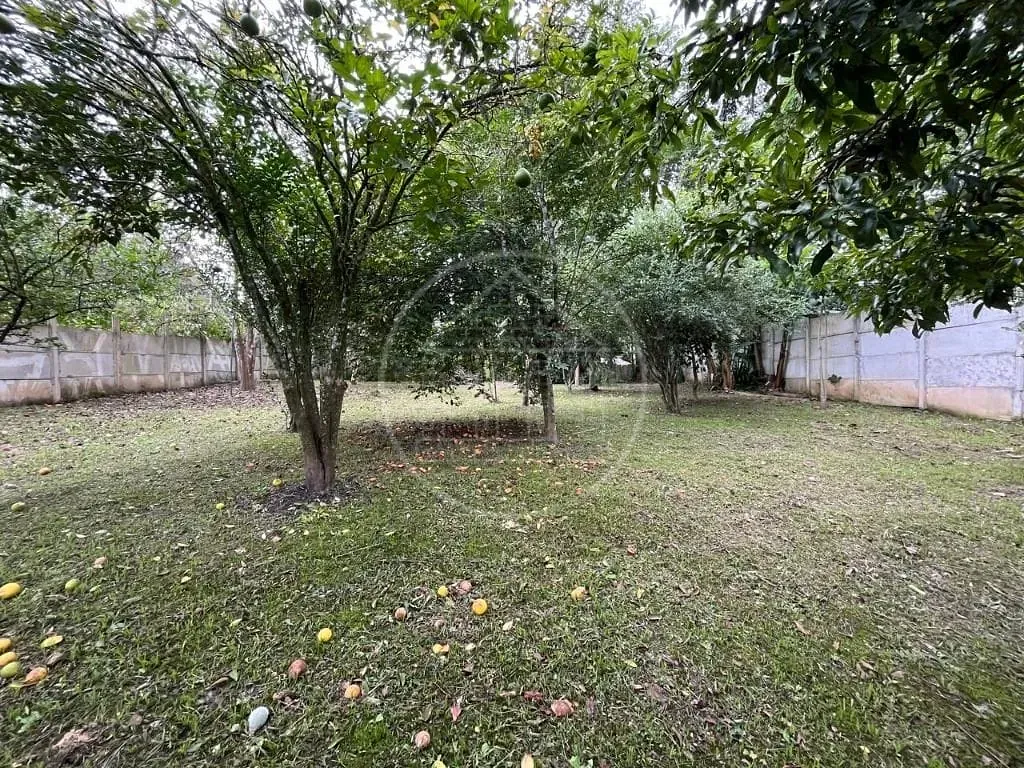 Sítio, 2 quartos, 1195 m² - Foto 11