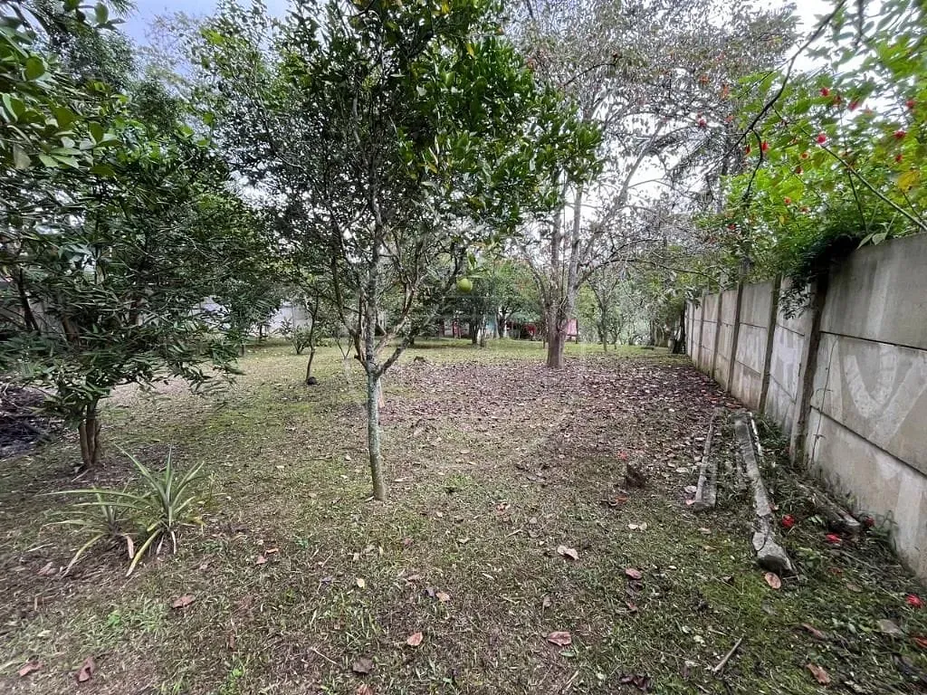 Sítio, 2 quartos, 1195 m² - Foto 7