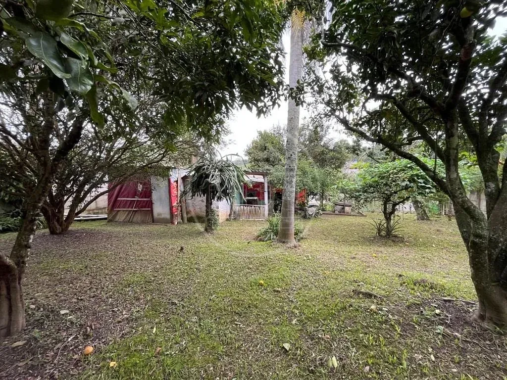 Sítio, 2 quartos, 1195 m² - Foto 10