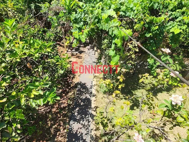 Chácara com 700m² 3 quartos e 2 banheiros, à venda, no bairro Jardim Maria Goretti em Ribeirão Preto