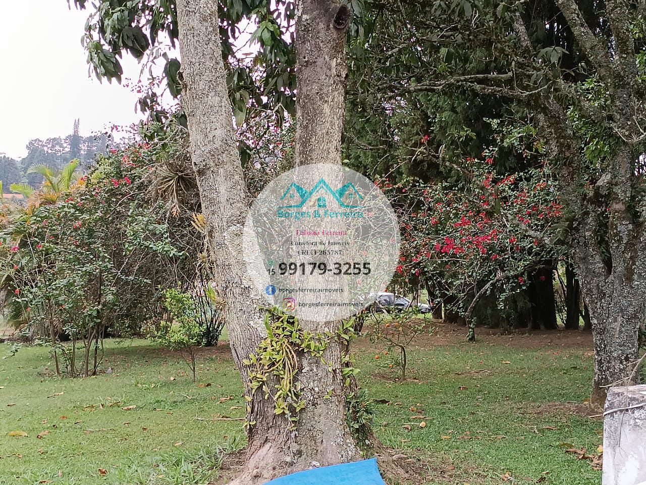 Chácara à venda com 2 quartos, 4579m² - Foto 34
