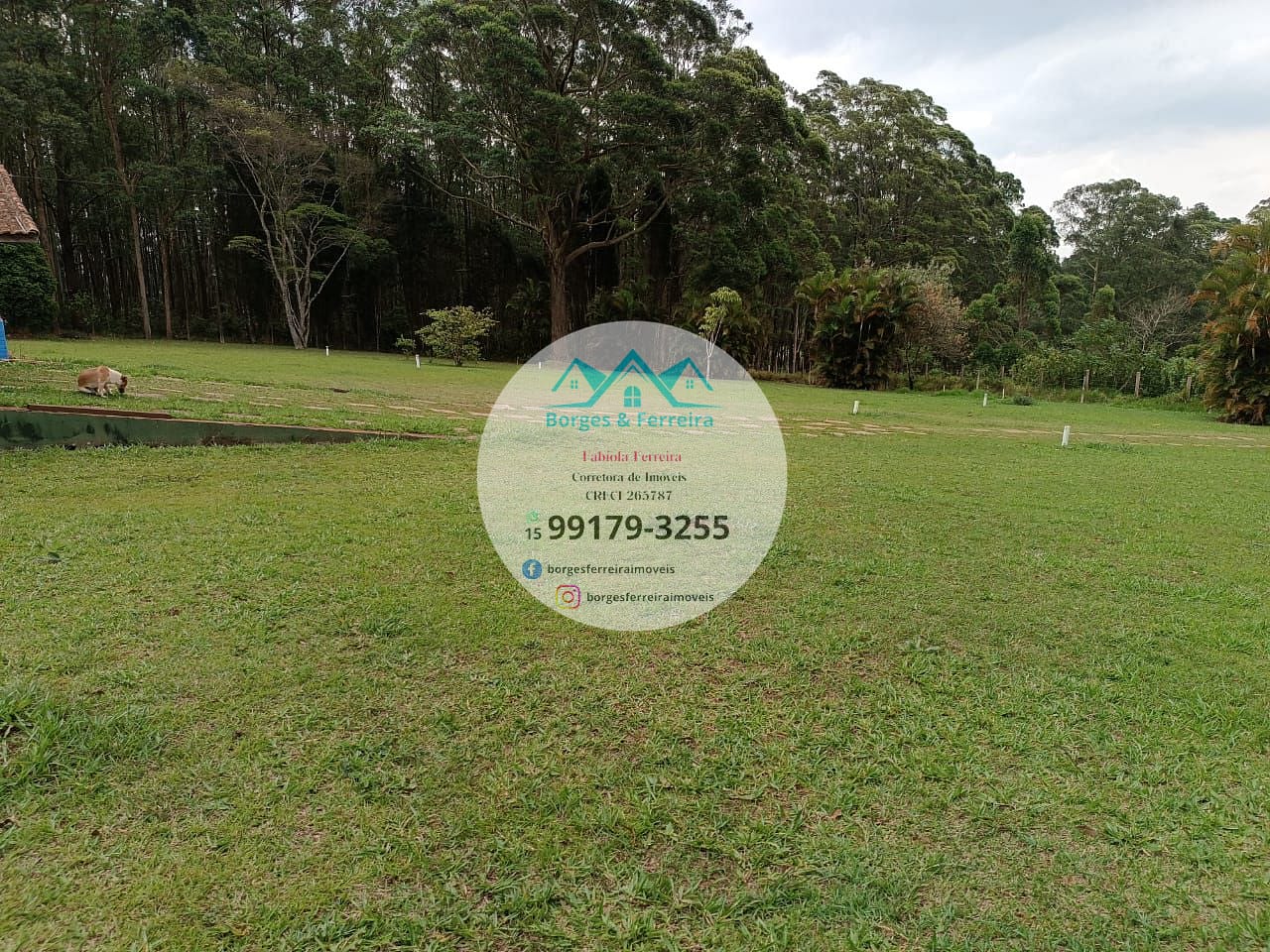 Chácara à venda com 2 quartos, 4579m² - Foto 36