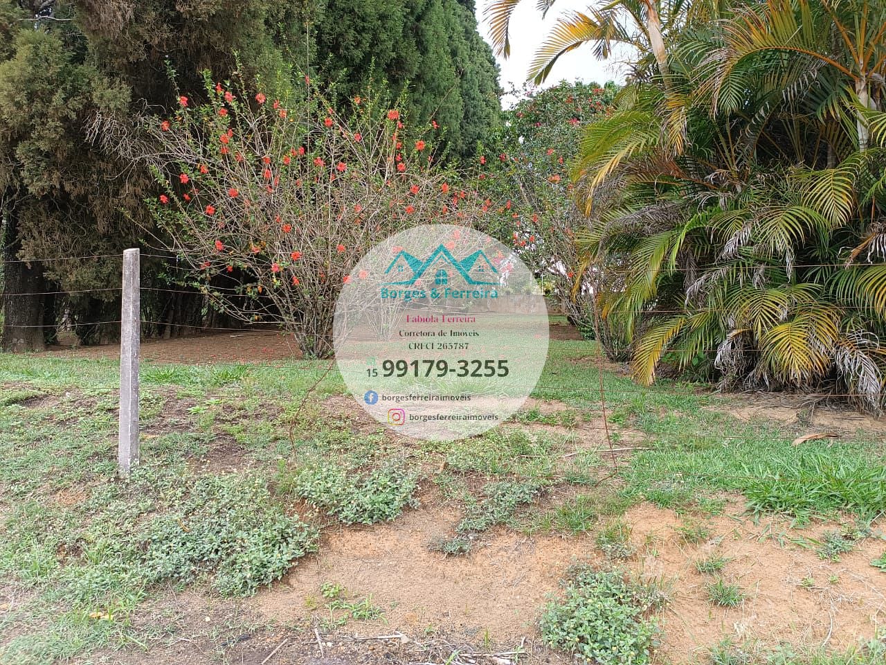 Chácara à venda com 2 quartos, 4579m² - Foto 31