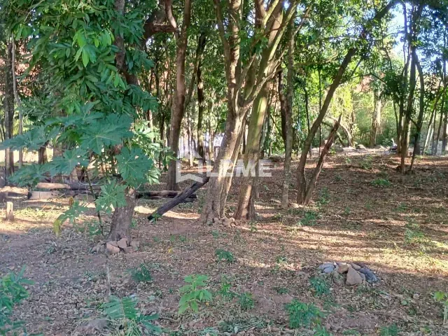 Chácara com 10000m², à venda, no bairro Arceburgo em Arceburgo