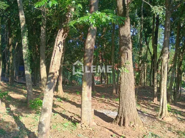 Chácara com 10000m², à venda, no bairro Arceburgo em Arceburgo