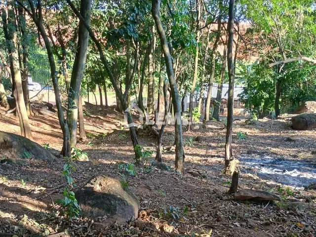Chácara com 10000m², à venda, no bairro Arceburgo em Arceburgo