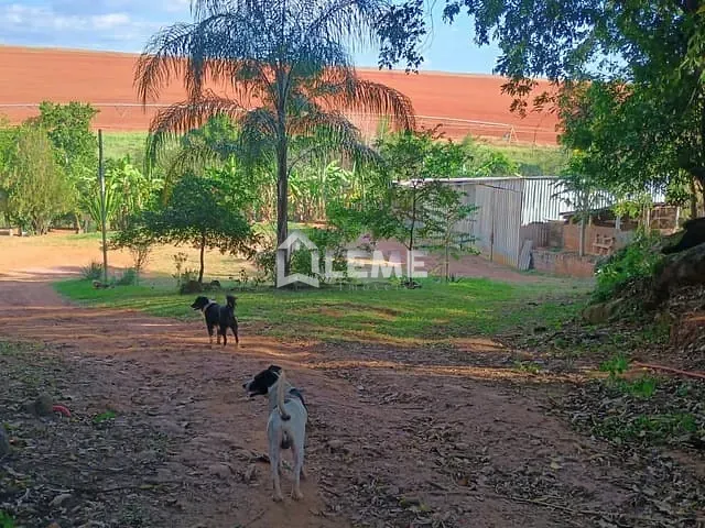 Chácara com 10000m², à venda, no bairro Arceburgo em Arceburgo