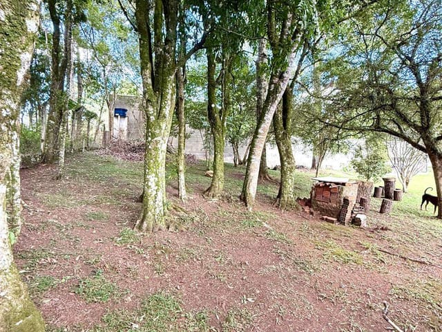 Chácara 3 quartos e 2 banheiros, à venda, no bairro Ana Rech em Caxias do Sul