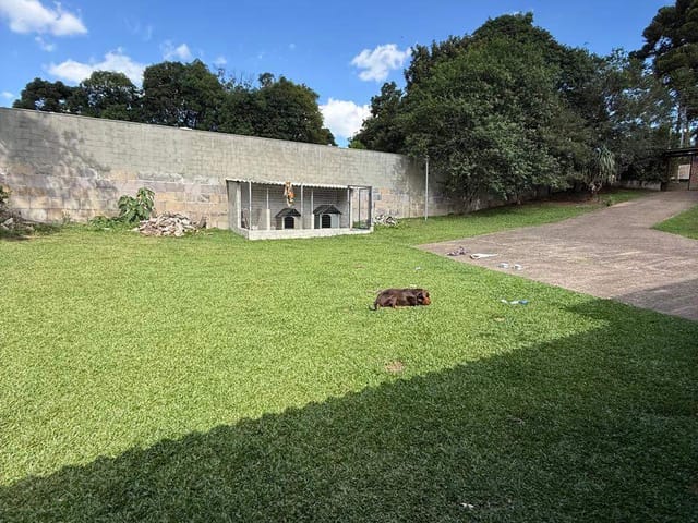 Chácara 3 quartos e 2 banheiros, à venda, no bairro Ana Rech em Caxias do Sul