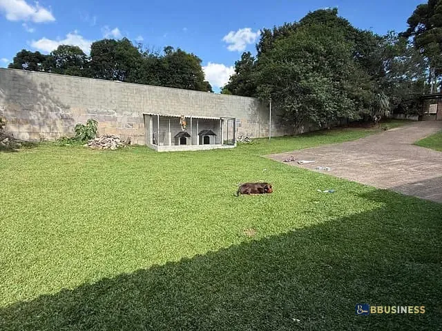 Chácara 3 quartos e 2 banheiros, à venda, no bairro Ana Rech em Caxias do Sul