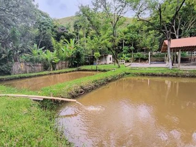 Foto do Chácara - Chácara com 3 dormitórios à venda, 3000 m² por R$ 640.000,00 - Zona Rural - São José dos Campos/SP | INDEPENDENCE NEGOCIOS IMOBILIARIOS LTDA