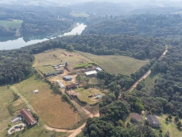 Sítio à venda, no bairro Vila David Antônio em Campo Largo
