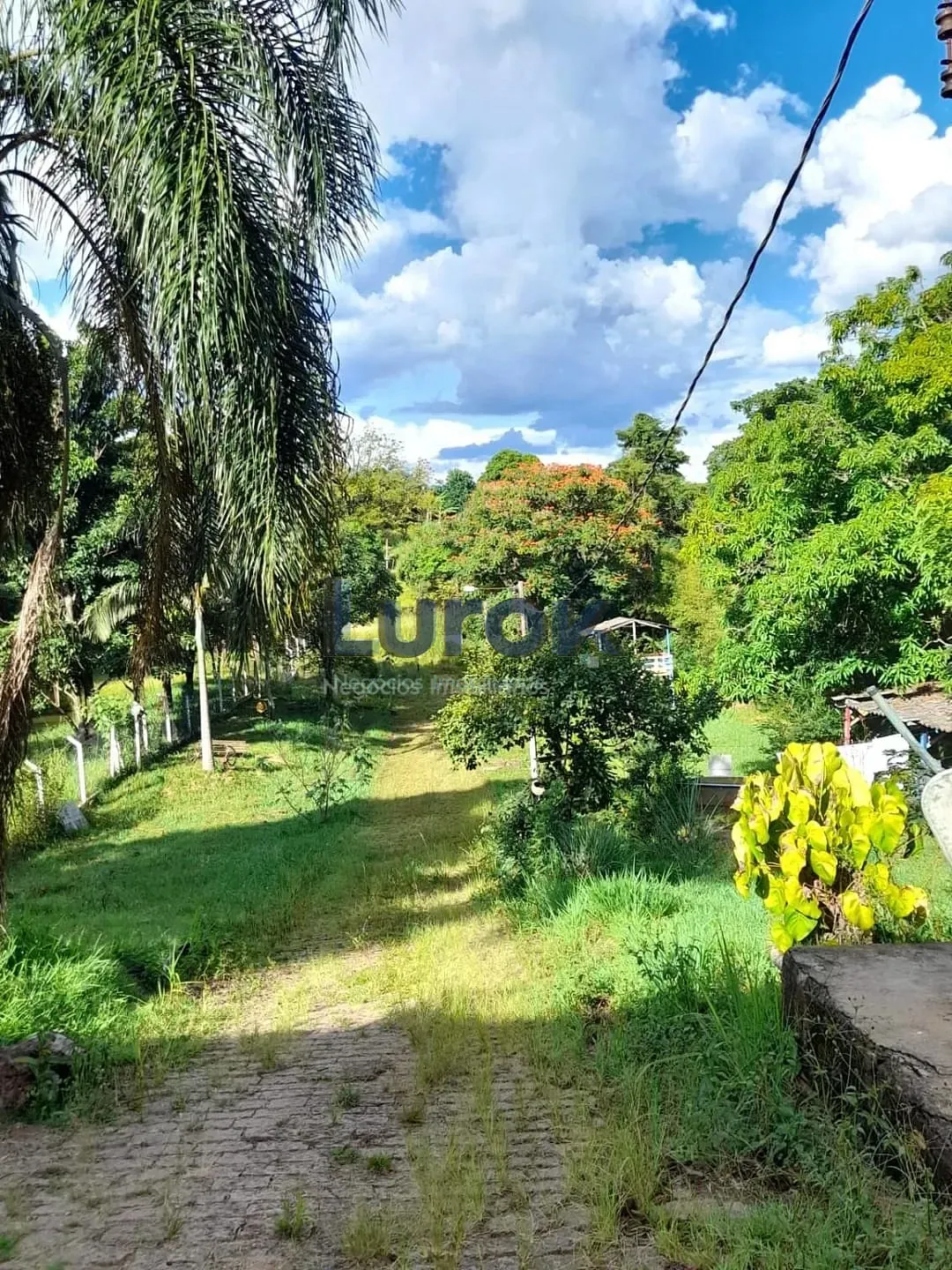 Terreno, 5000 m² - Foto 19