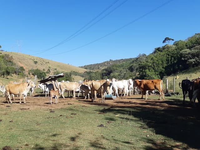 Chácara com 484000m², à venda, no bairro Cruz Pequena em Pindamonhangaba