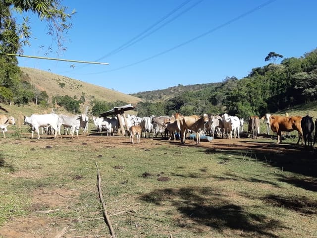 Chácara com 484000m², à venda, no bairro Cruz Pequena em Pindamonhangaba