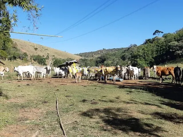 Chácara com 484000m², à venda, no bairro Cruz Pequena em Pindamonhangaba