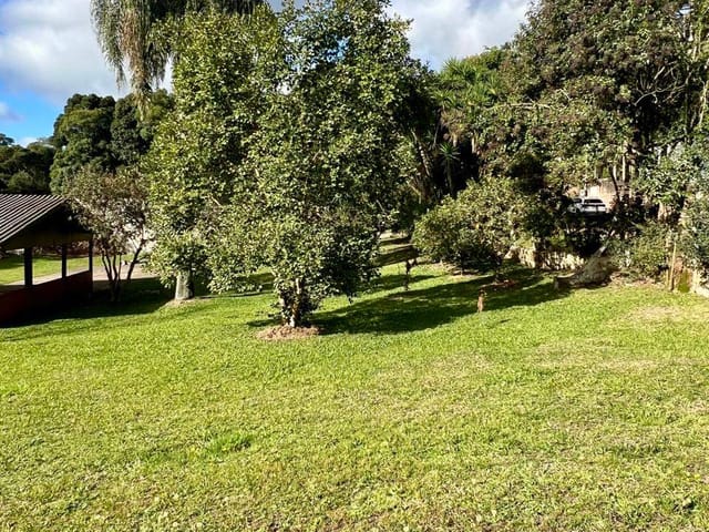 Chácara 1 quarto e 1 banheiro, à venda, no bairro Ana Rech em Caxias do Sul