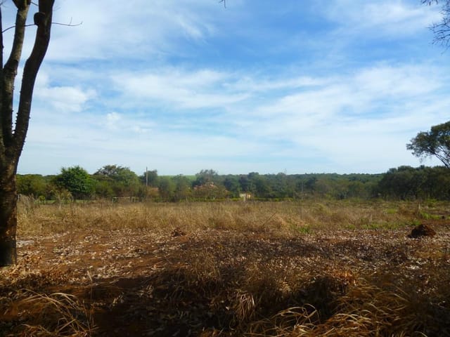 Foto do Chácara - Chácara residencial à venda, Recanto Das Flores, Uberaba. | DOMINIO ZAGO IMOVEIS LTDA