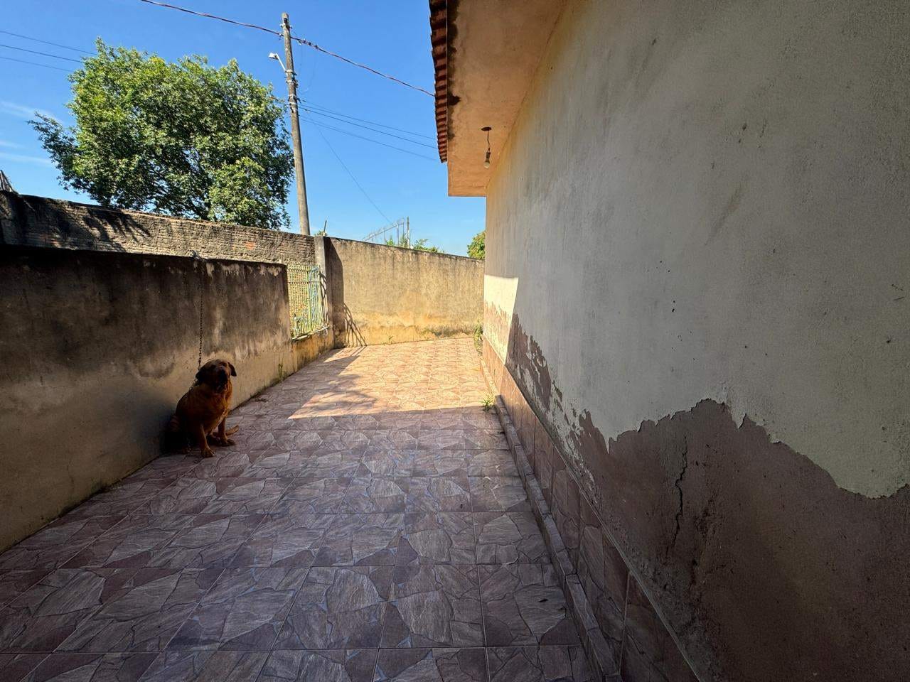 Chácara, 3 quartos, 1214 m² - Foto 29