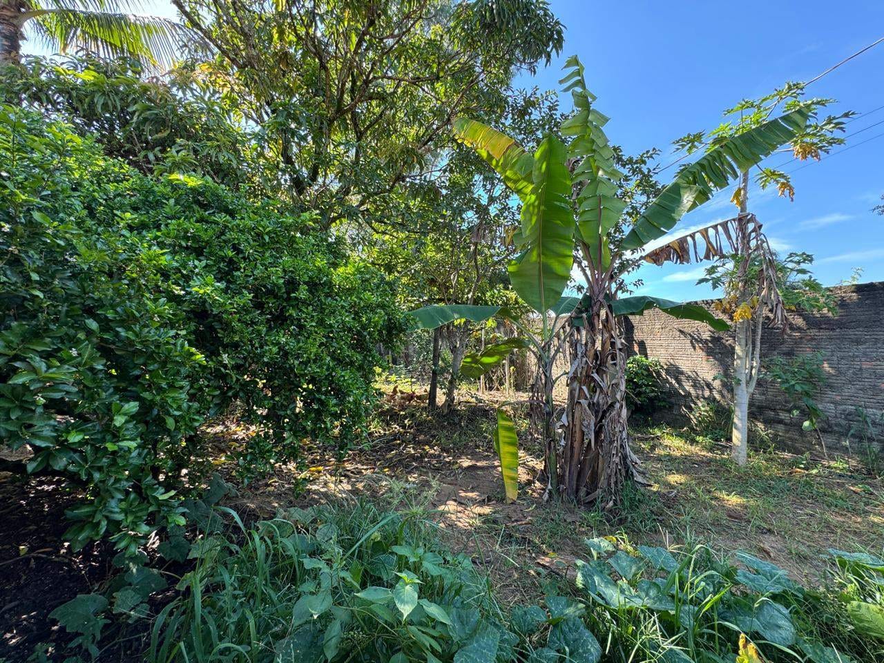 Chácara, 3 quartos, 1214 m² - Foto 30