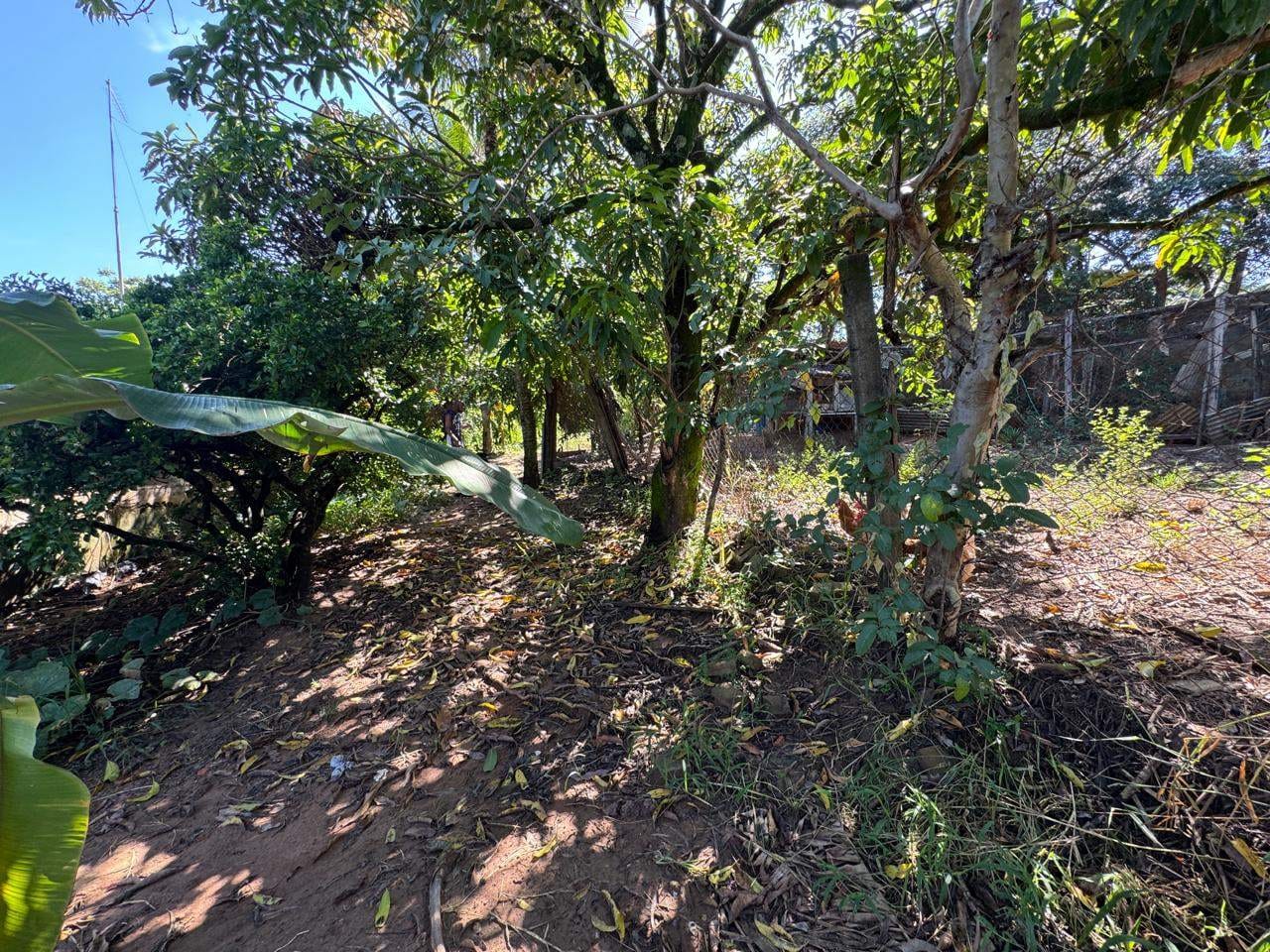 Chácara, 3 quartos, 1214 m² - Foto 34