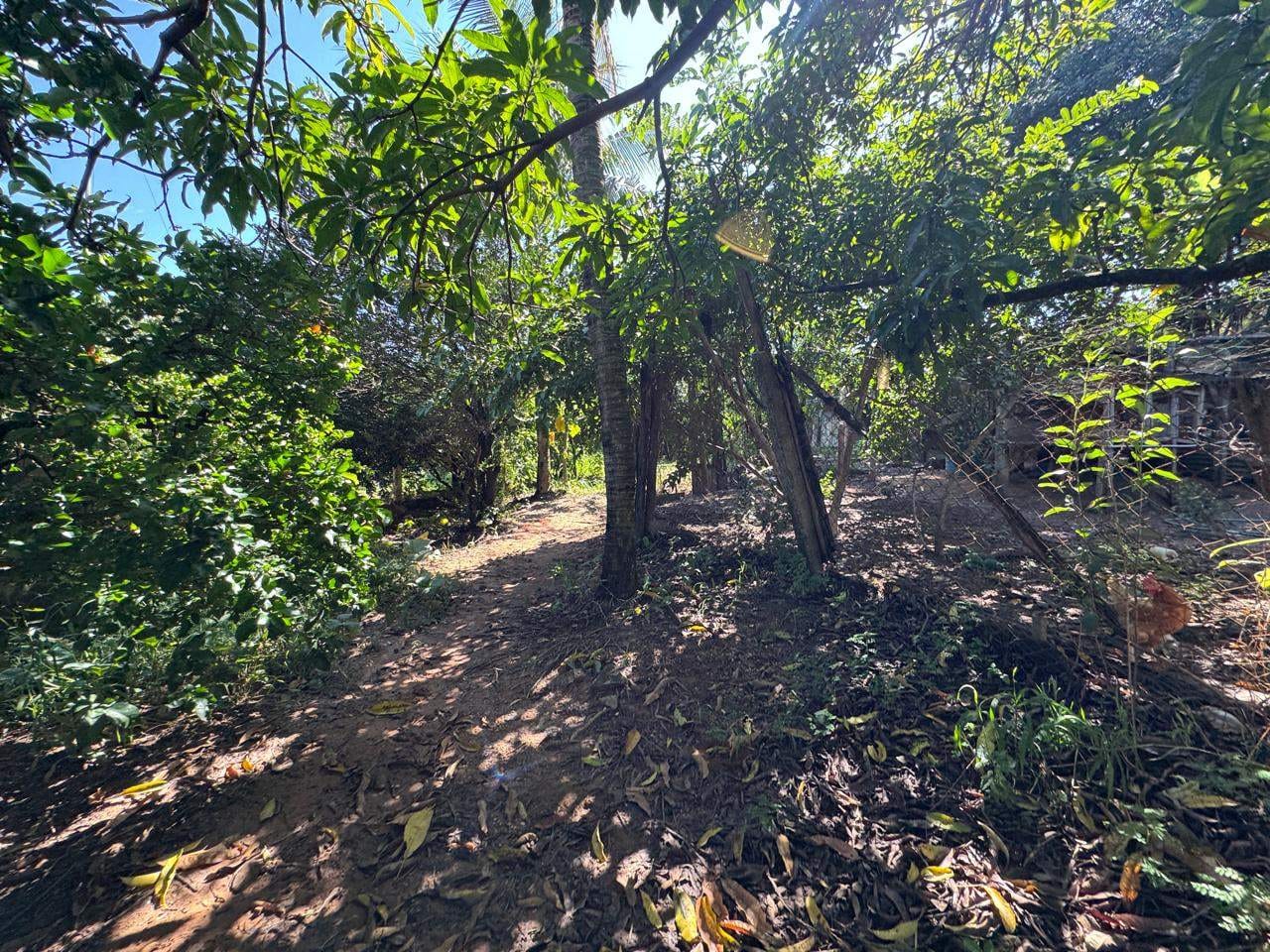 Chácara, 3 quartos, 1214 m² - Foto 35