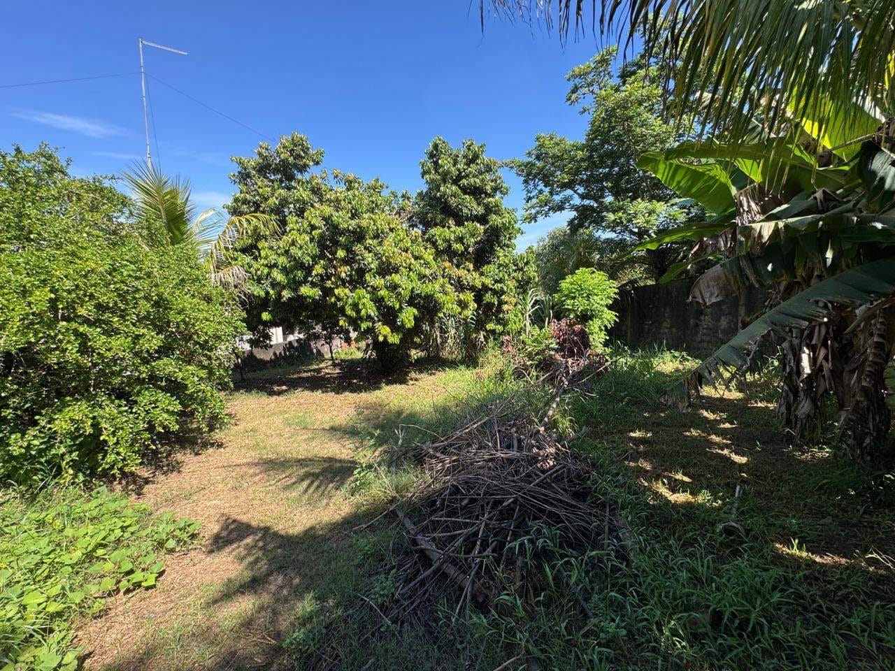 Chácara, 3 quartos, 1214 m² - Foto 39