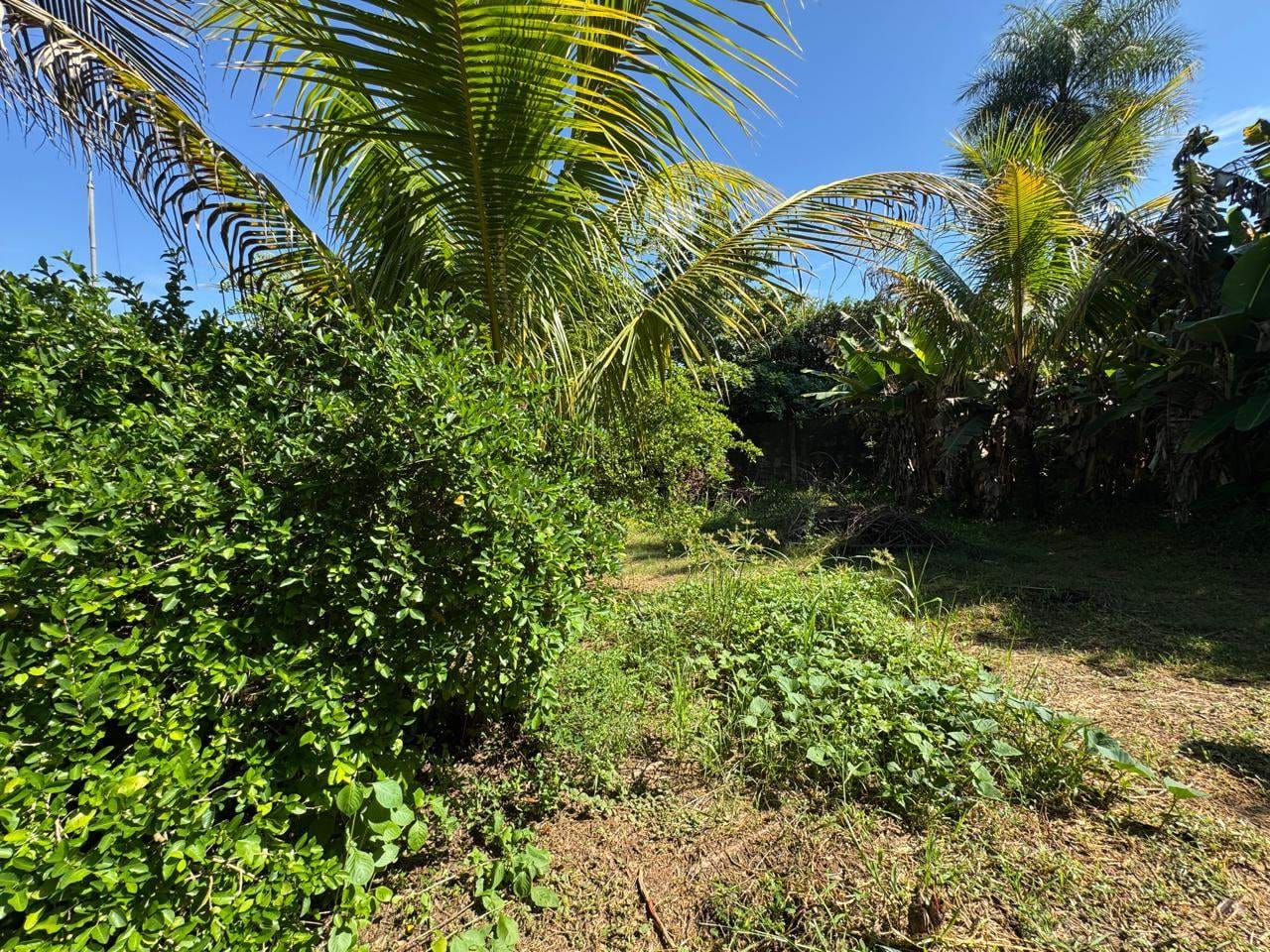 Chácara, 3 quartos, 1214 m² - Foto 40