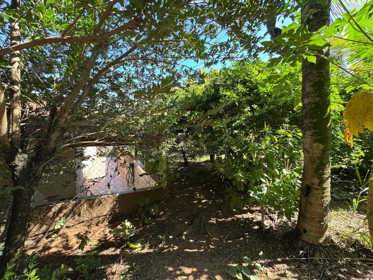 Chácara, 3 quartos, 1214 m² - Foto 41