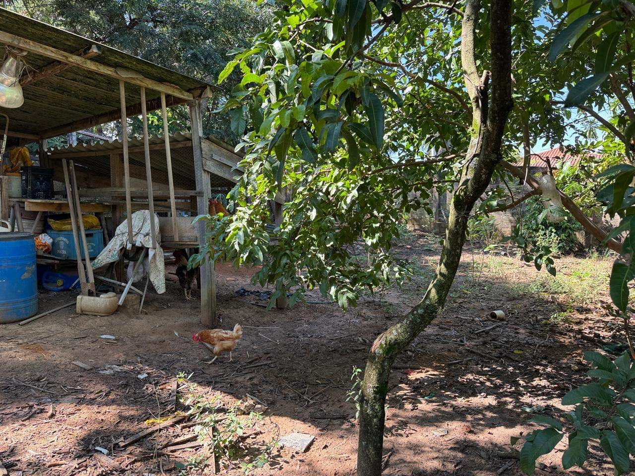 Chácara, 3 quartos, 1214 m² - Foto 42