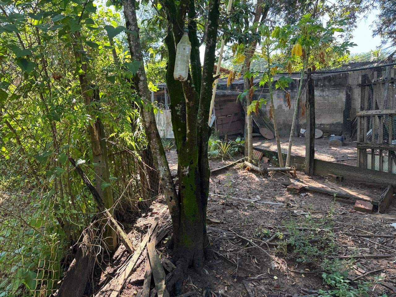 Chácara, 3 quartos, 1214 m² - Foto 43