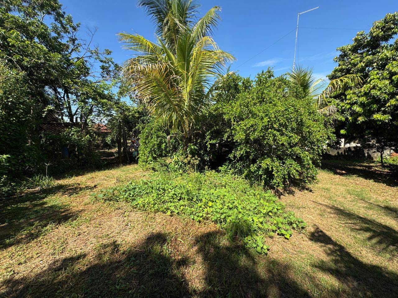 Chácara, 3 quartos, 1214 m² - Foto 44