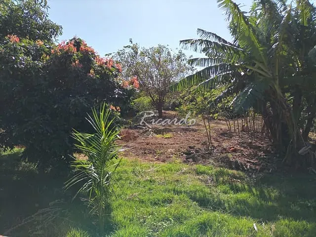 Chácara com 1500m² 1 quarto e 1 banheiro, à venda, no bairro Área Rural de Arapongas em Arapongas