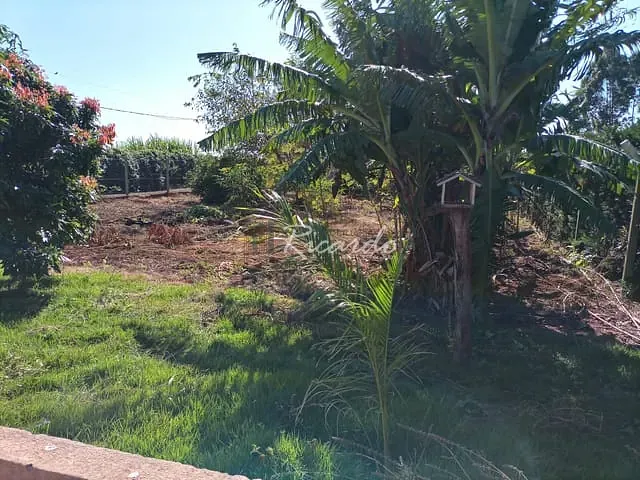 Chácara com 1500m² 1 quarto e 1 banheiro, à venda, no bairro Área Rural de Arapongas em Arapongas