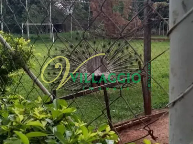 Chácara com 10000m² 3 quartos e 2 banheiros, à venda, no bairro Chácara Recreio Nossa Senhora do Líbano (Zona Rural) em São José do Rio Preto