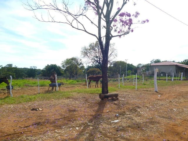 Foto do Chácara - Chácara residencial à venda, Recanto Das Flores, Uberaba. | DOMINIO ZAGO IMOVEIS LTDA