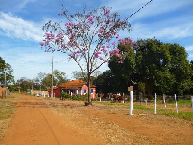 Foto do Chácara - Chácara residencial à venda, Recanto Das Flores, Uberaba. | DOMINIO ZAGO IMOVEIS LTDA