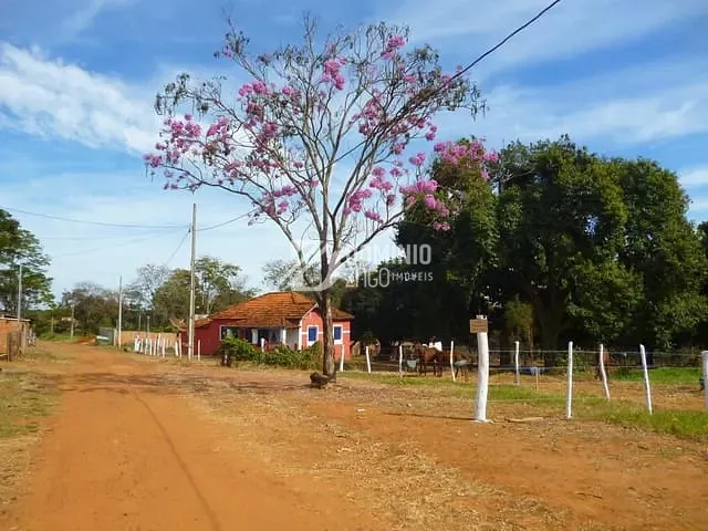 Chácara com 2000m² 4 quartos e 1 banheiro, à venda, no bairro Recanto Das Flores em Uberaba