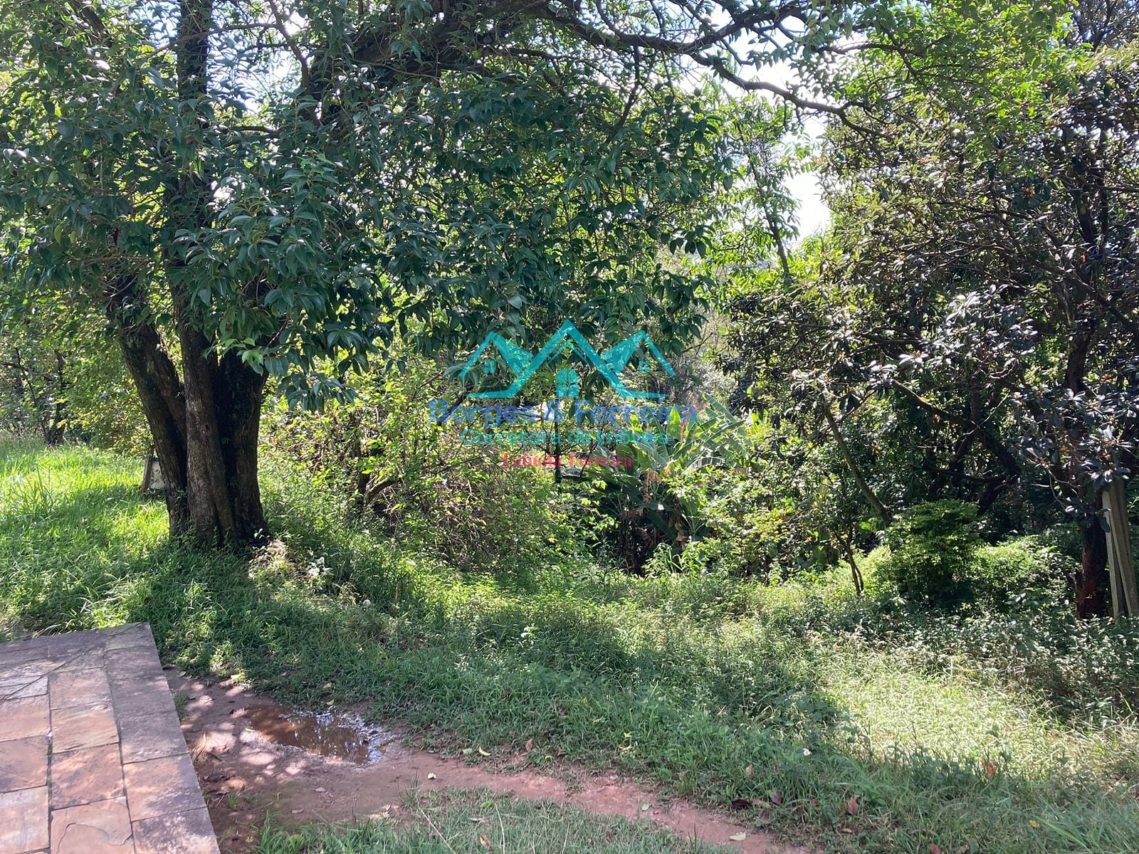 Chácara, 4 quartos, 6500 m² - Foto 74